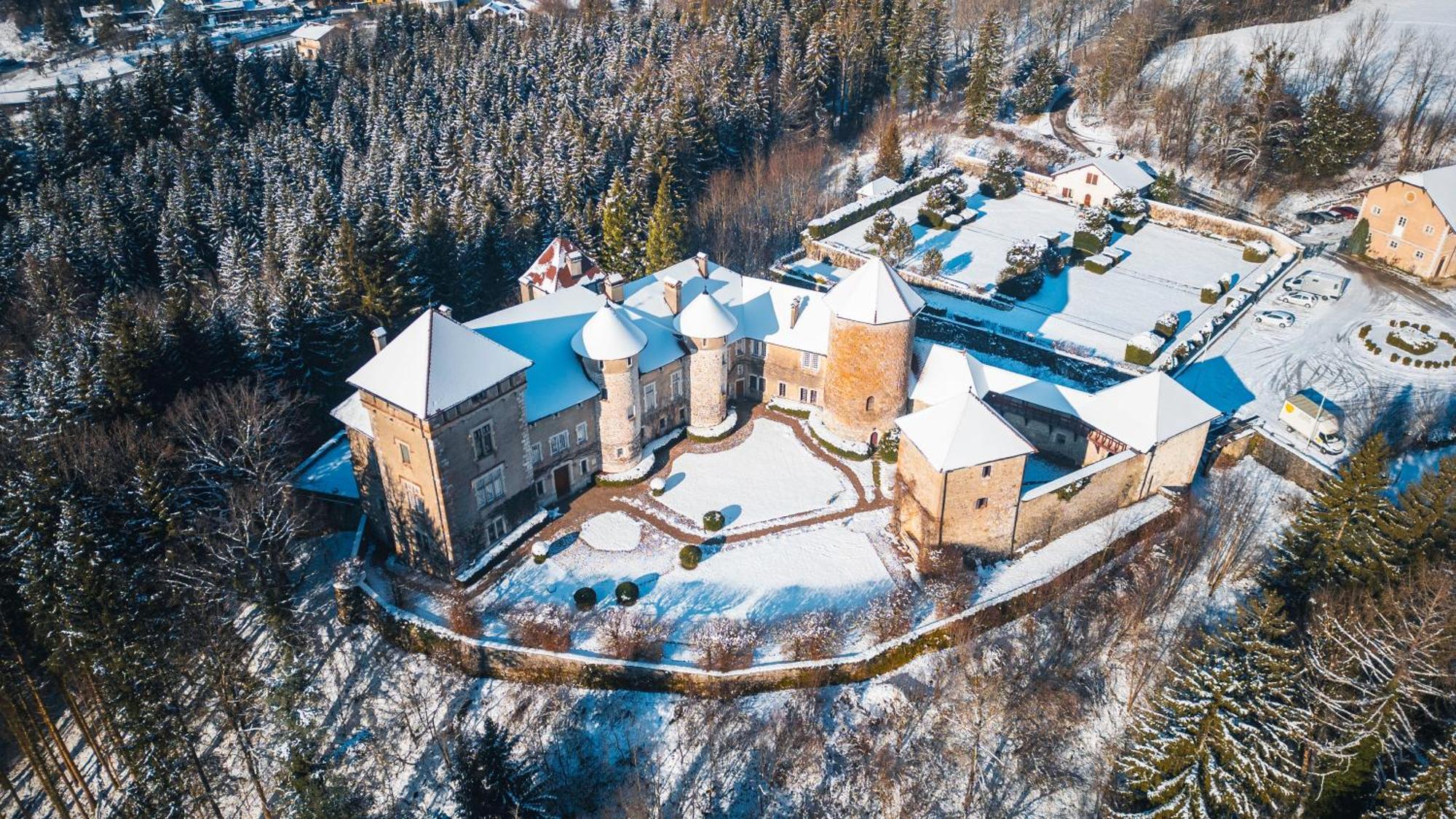 Chateau De Thorens מראה חיצוני תמונה