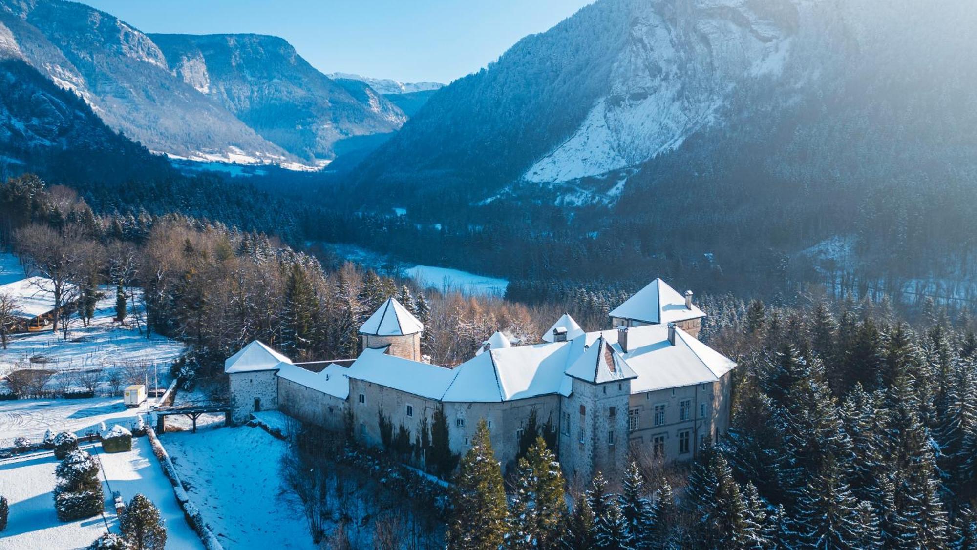 Chateau De Thorens מראה חיצוני תמונה