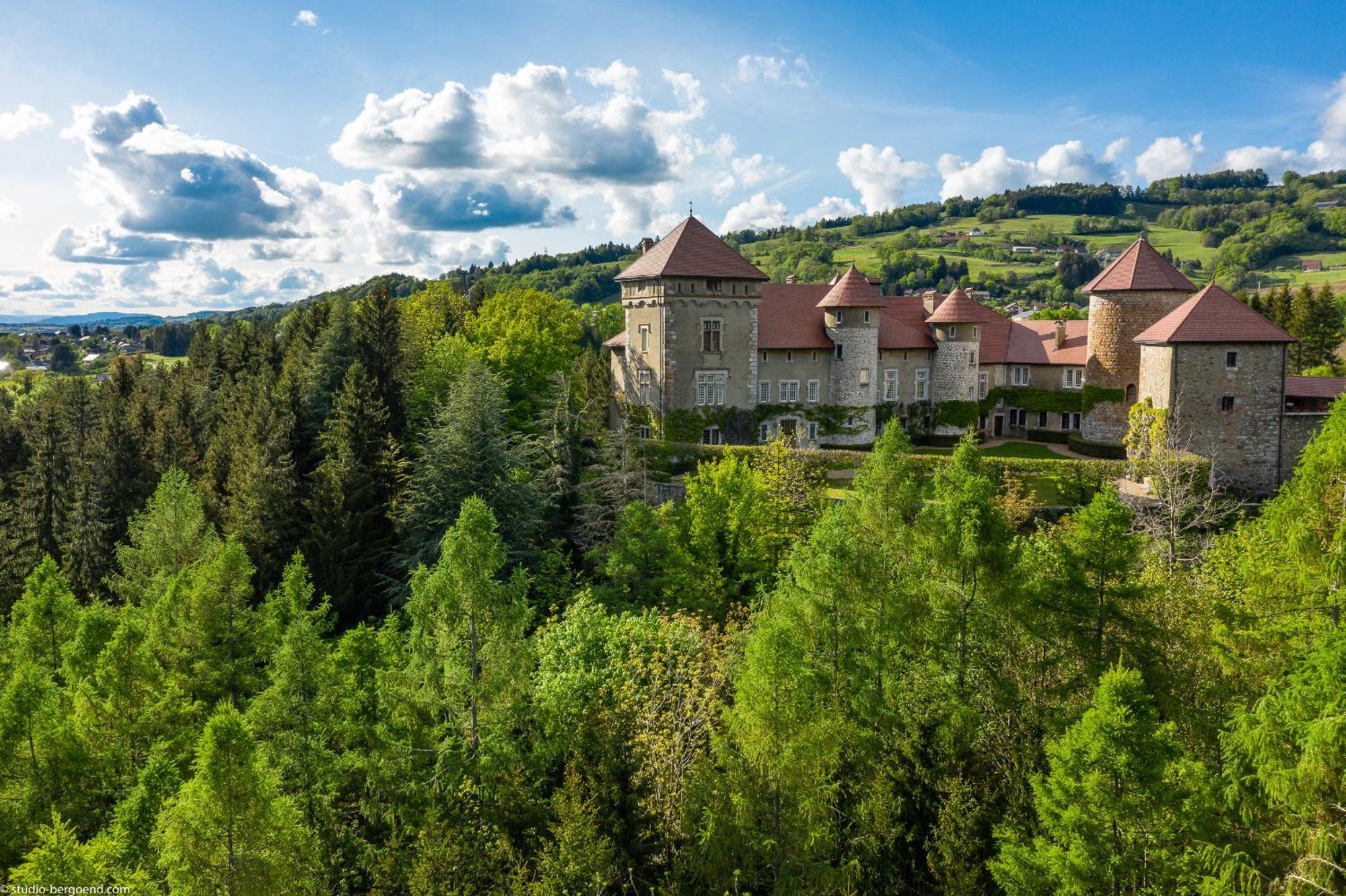 Chateau De Thorens מראה חיצוני תמונה