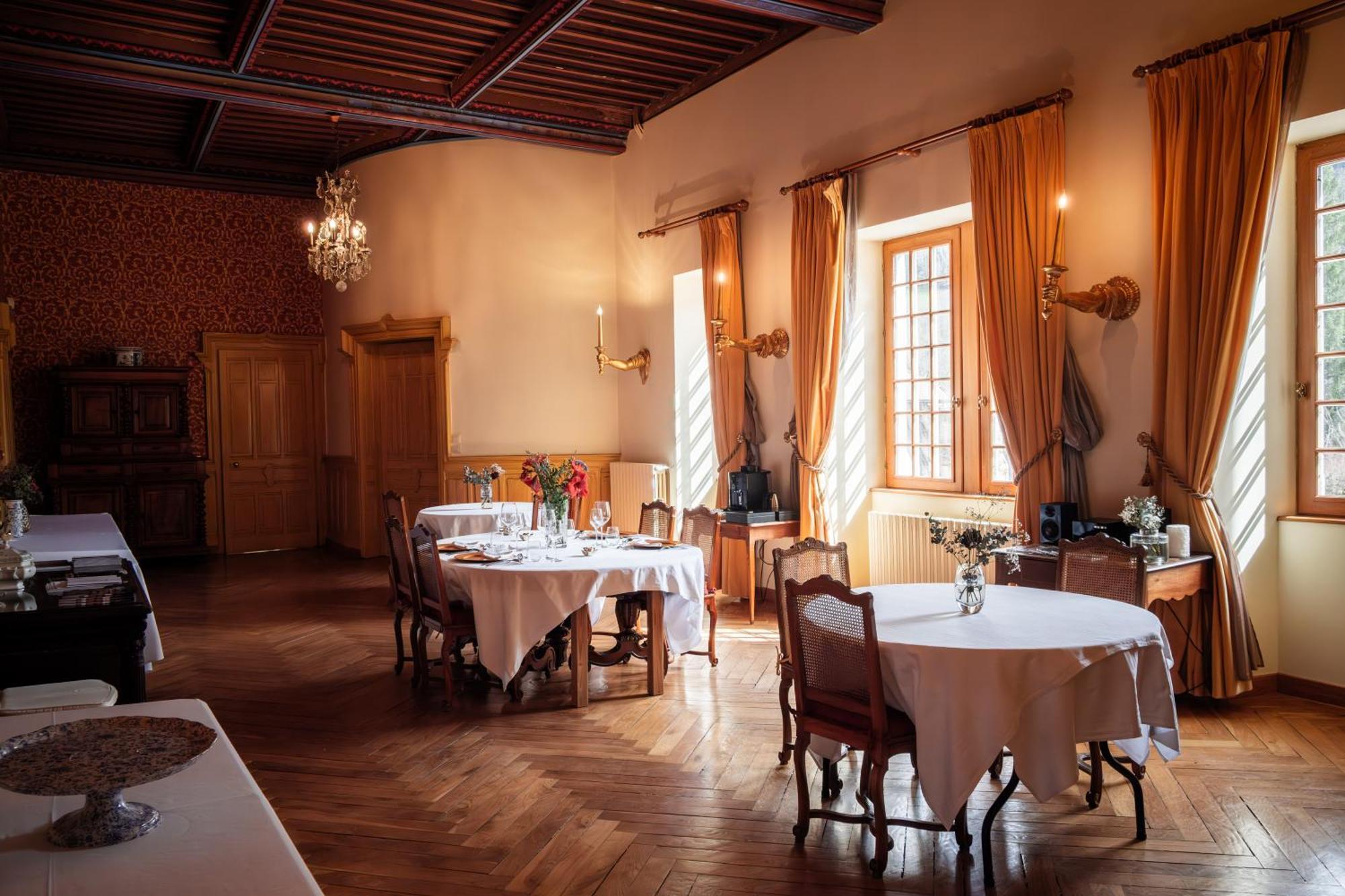 Chateau De Thorens מראה חיצוני תמונה